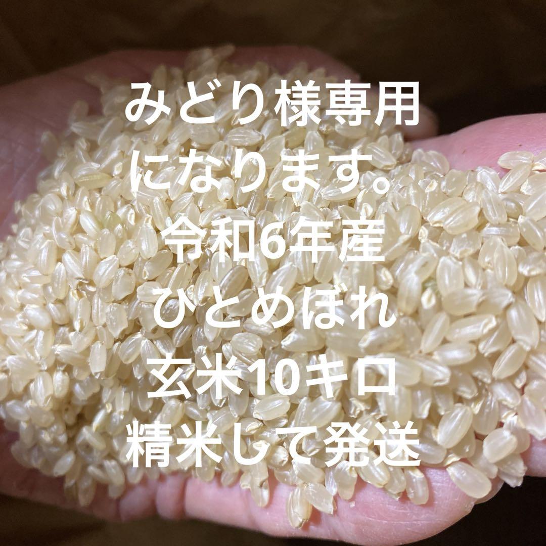 みどり様専用になります。令和6年産 ひとめぼれ玄米10キロ　精米して発送