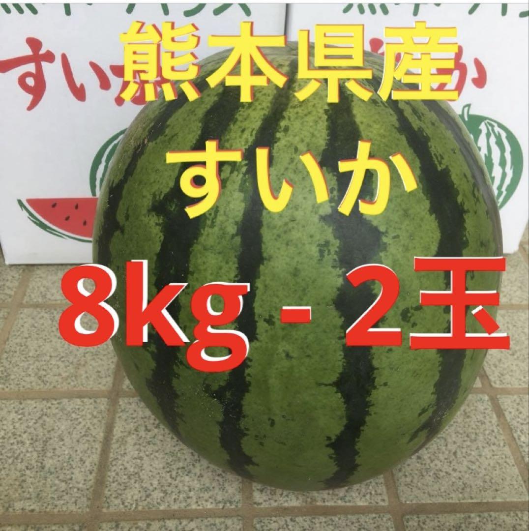 熊本県産スイカ　8kg-2個入り　西瓜　熊本　3L 熊本　すいか　産地直送