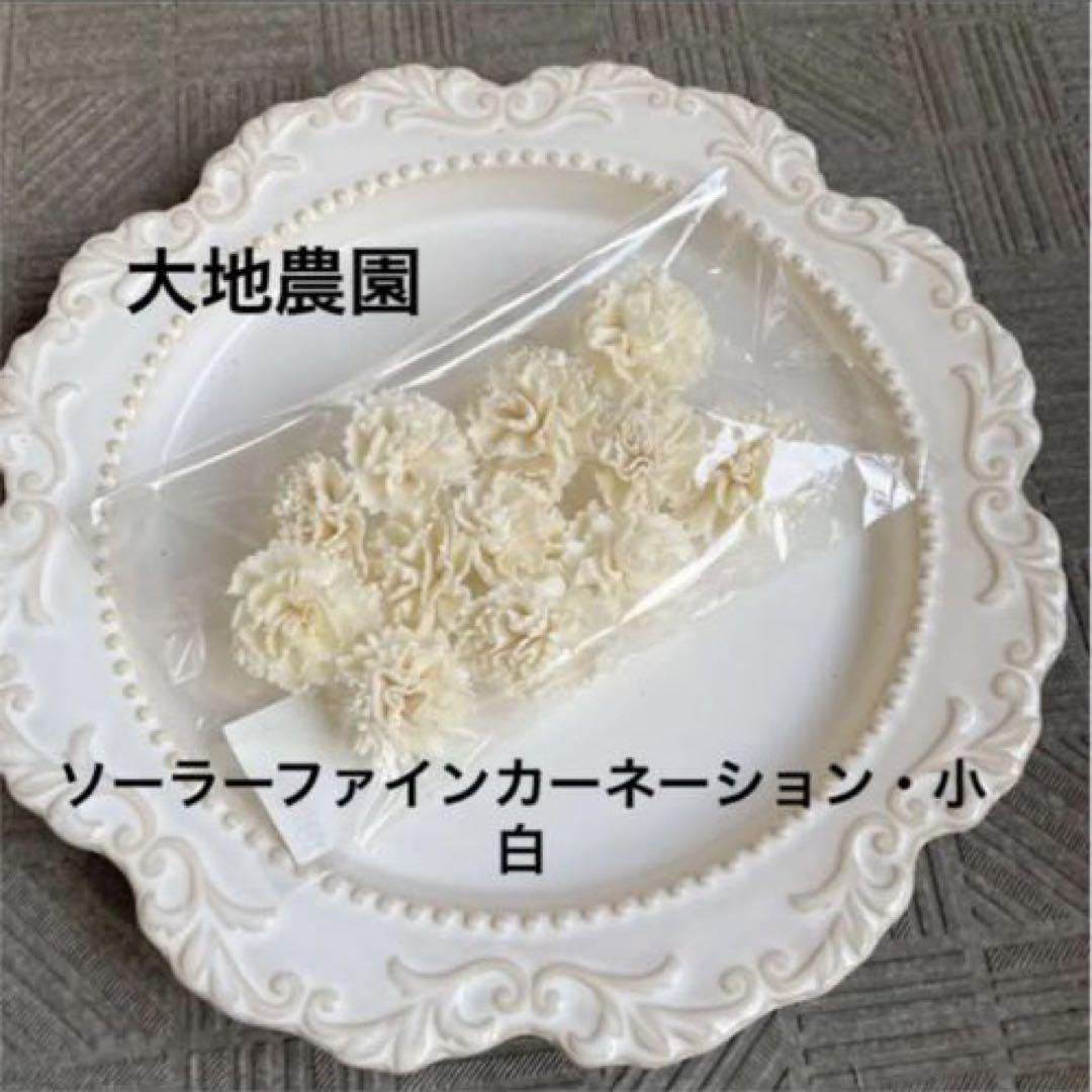 済　mayufuji様　ご専用