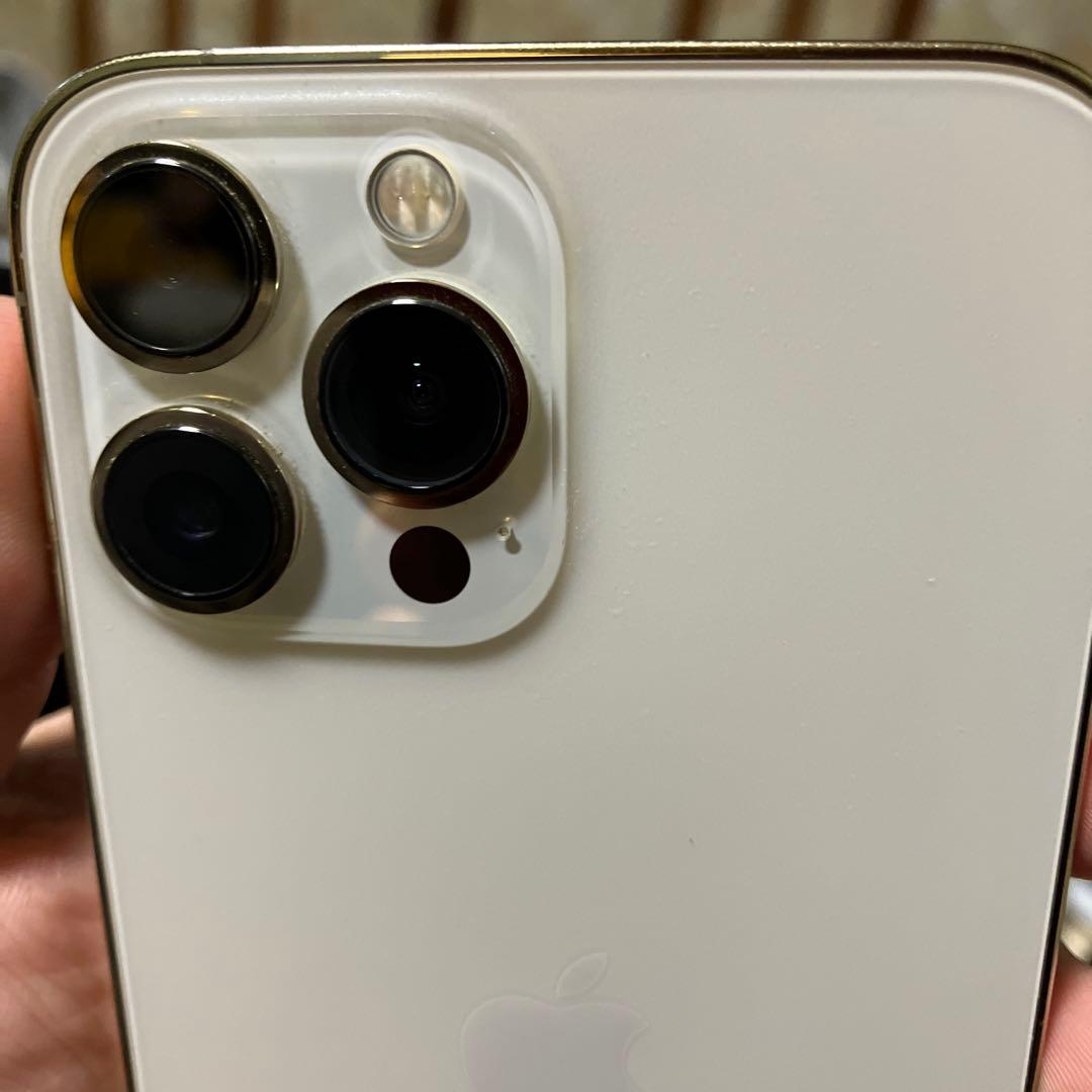 iPhone13 ProMax ジャンク品Apple WWW_OPDRERGINERDOGAN_COM