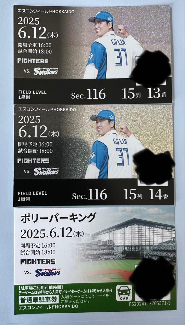 FIGHTERS vs. SWALLOWS 2025年6月12日チケット