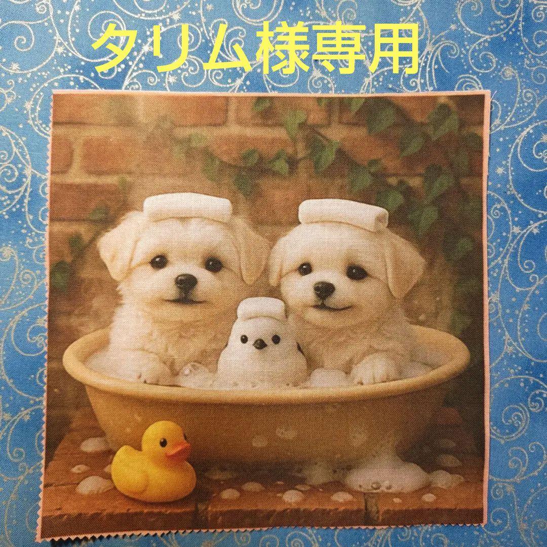 タリム様専用　パネル　わんこさん柄