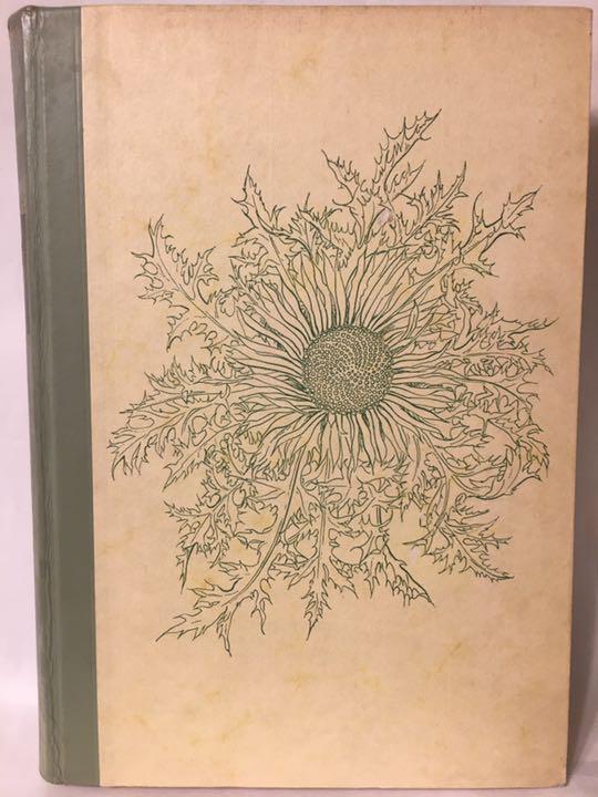 1956年 【希少/美品】ドイツの植物図鑑 Blumen-Fibel