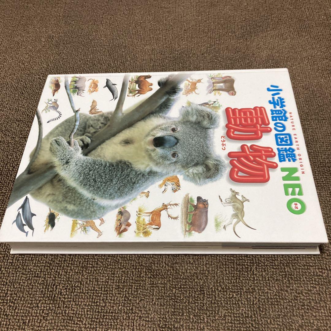 小学館の図鑑 NEO 11冊 コナンDVD1枚付