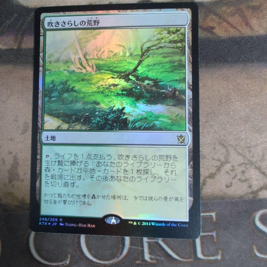 MTG　吹きさらしの荒野/Windswept Heath 4枚