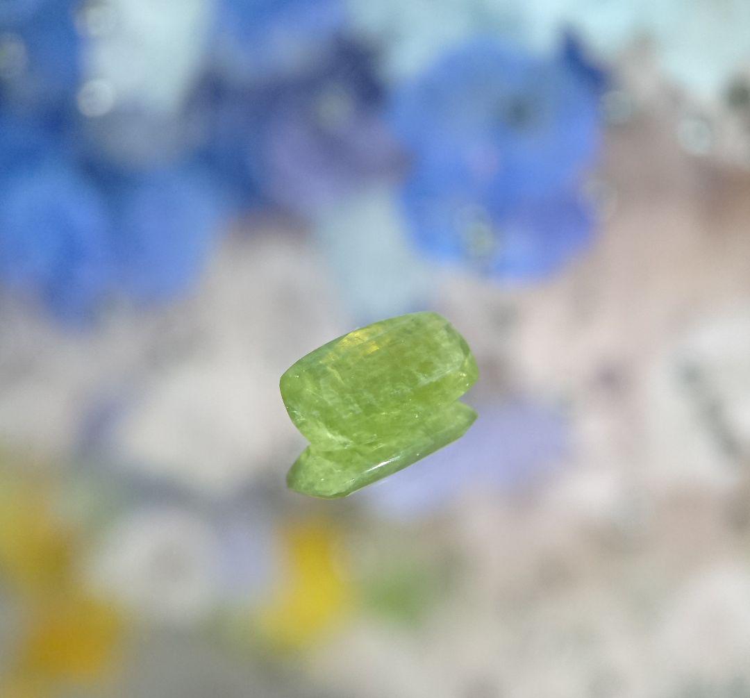 2722 1.3ct アンチゴライト