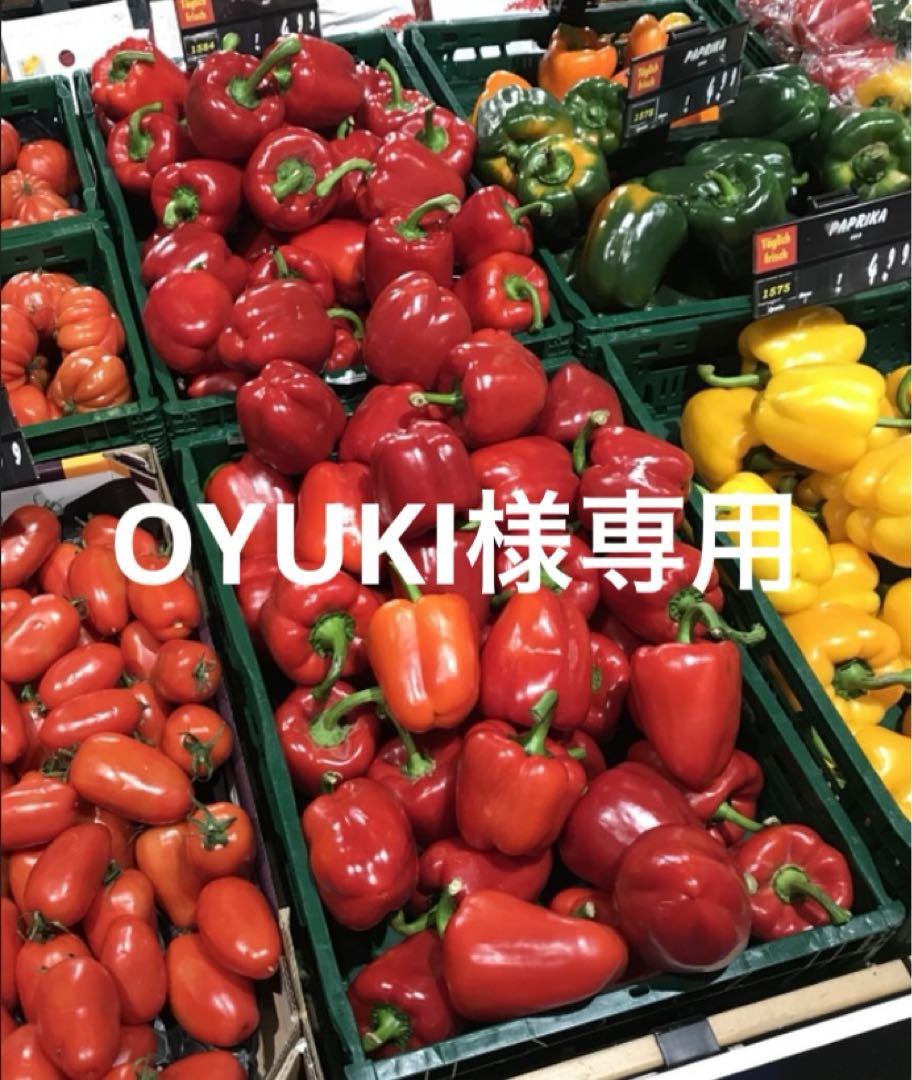 OYUKI様専用（801。881）