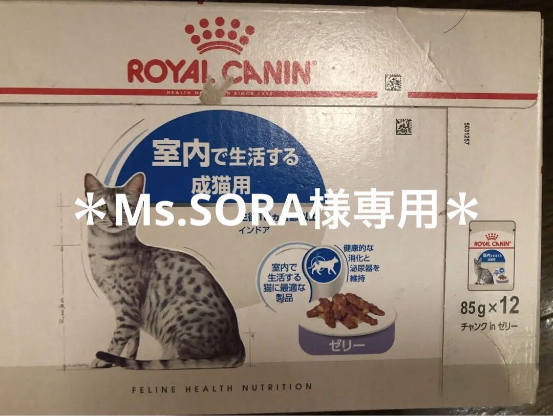 ロイヤルカナン 【85g×12袋】ロイヤルカナン インドア ゼリー 室内で生活する成猫用 生後12ヵ月齢以上 (猫・キャット) [正規品] :  スイートペットYahoo!店 - 通販 - Yahoo!ショッピング