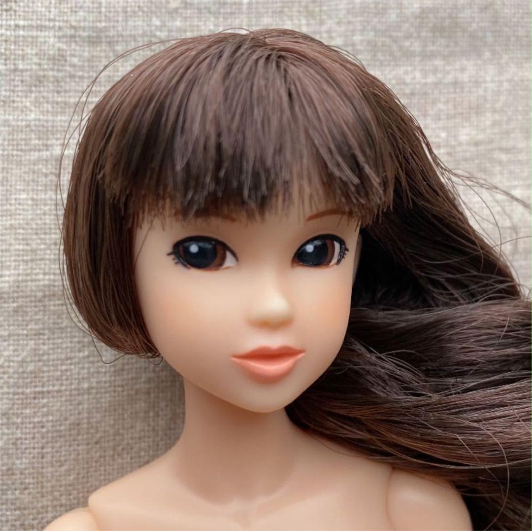 CCS 16SP momoko 本体のみ 未使用 ペットワークス 満点の