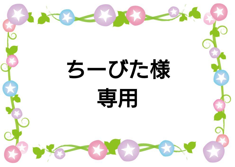 はこぽす対応商品】 ちーびた様専用 | www.kkkawata.co.jp