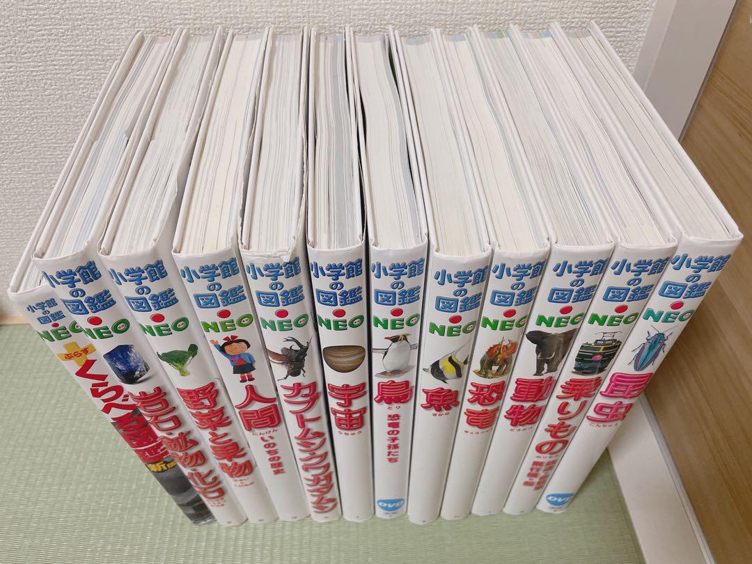 小学館の図鑑NEO 岩石・鉱物・化石　　　　野菜と果物　鳥　新版