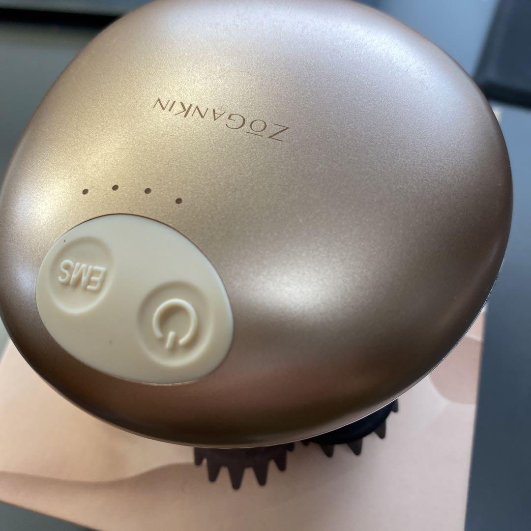 ゾーガンキンスカルプ ZOGANKIN 家庭用EMS ヘッドマッサージャー
