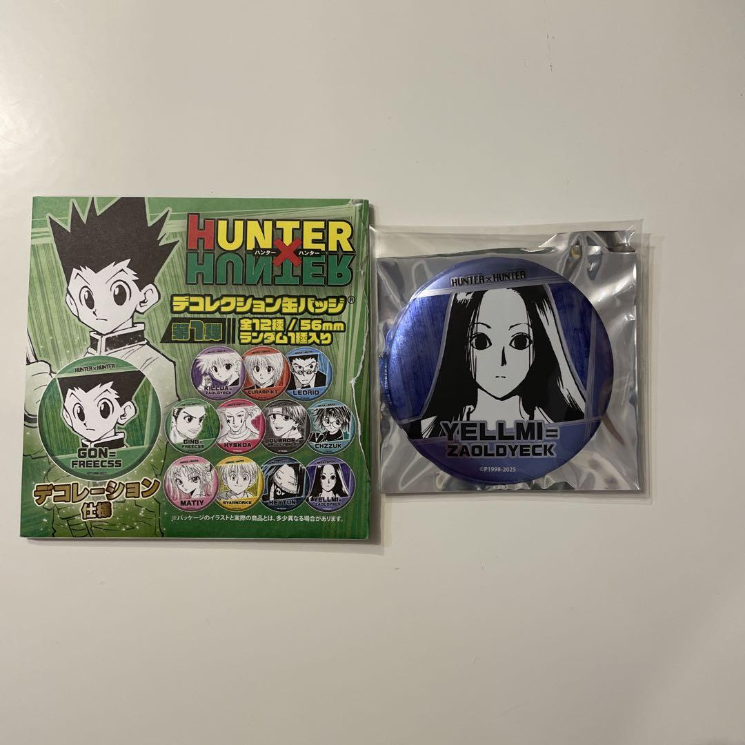 HUNTER × HUNTERイルミ缶バッジ×17 HUNTER×HUNTER_イルミ Ani-Art aqua label 第2弾 BIG缶バッジ