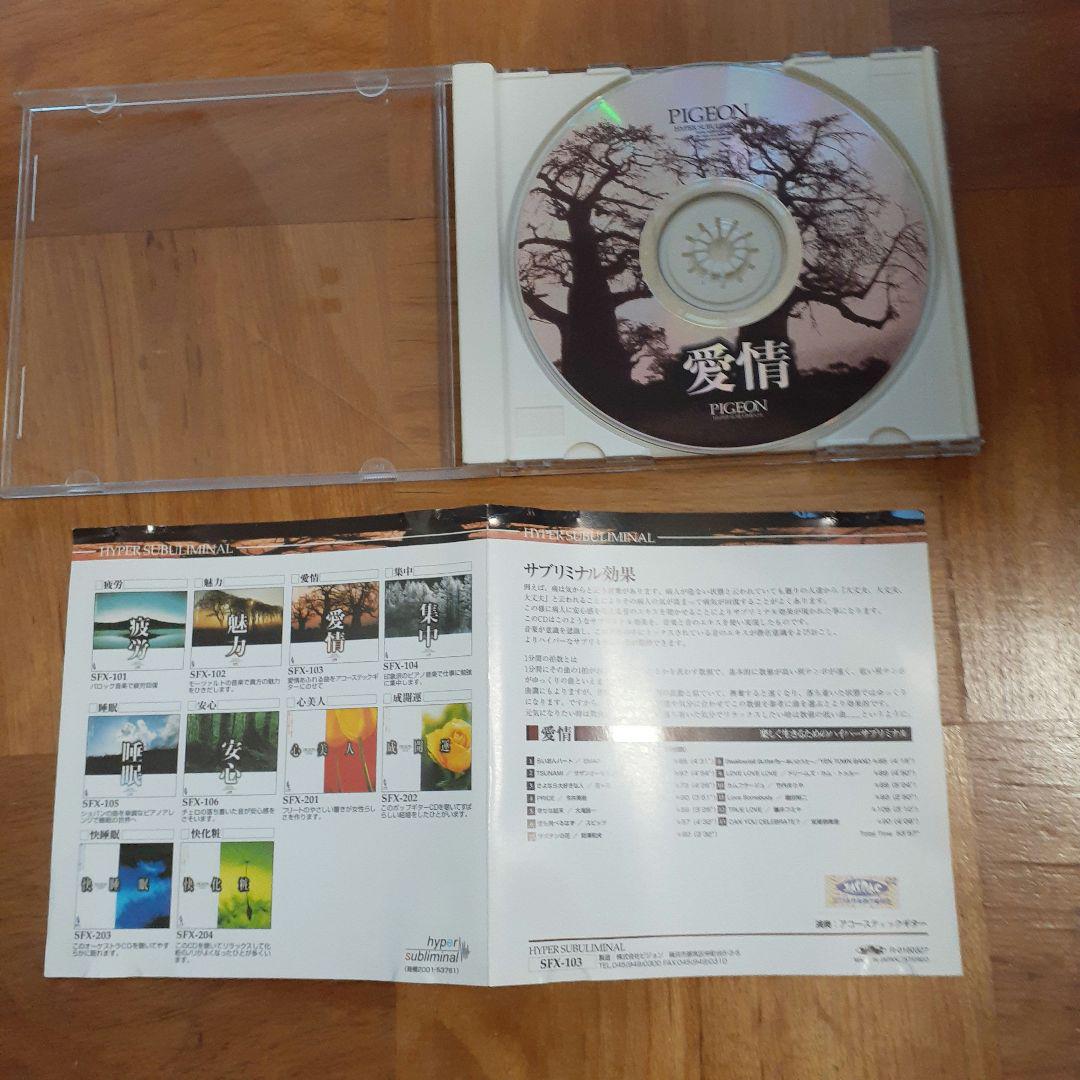 CD 愛情ハイパーサブリミナル インスト アコギ 画像2