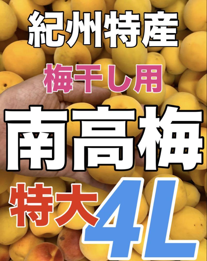 2605【秀品】特大4L10kg 梅干し向け完熟南高梅　キルトパッチ梅店
