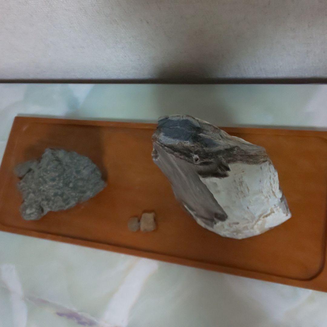 小滝石と珪化木
