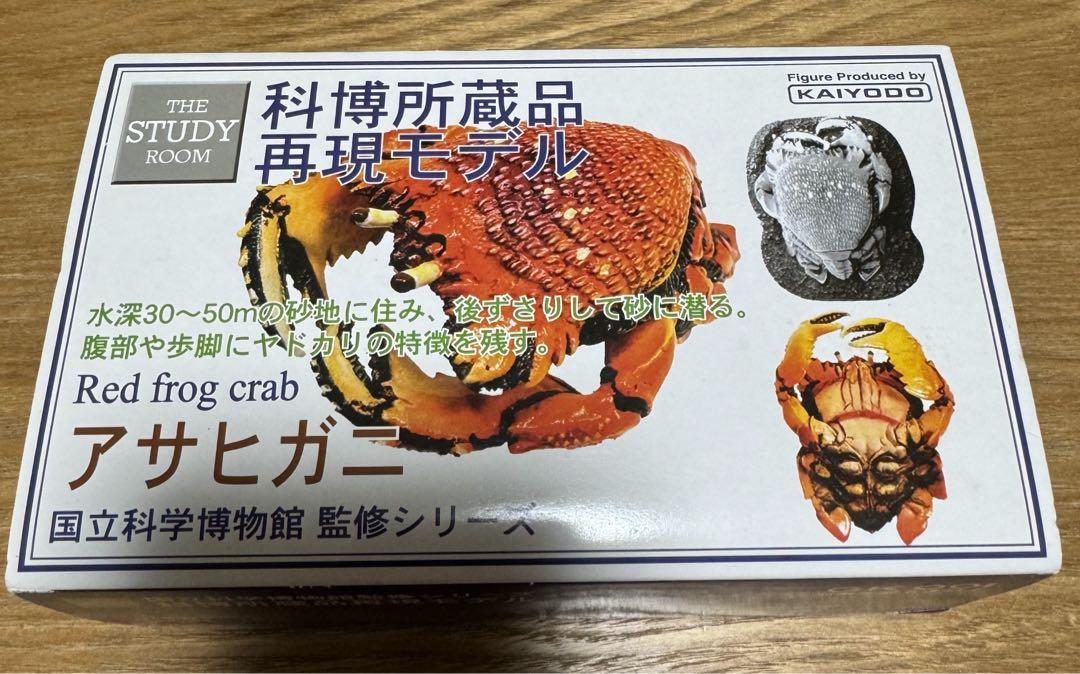 国立科学博物館　監修シリーズ　アサヒガニ　海洋堂　蟹　ミニチュア　再現モデル