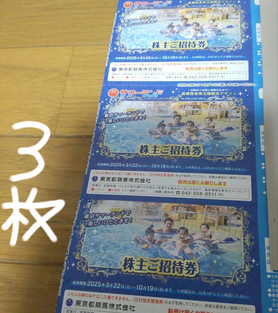匿名配送 3枚　夏季利用可　サマーランド　１デイパス　株主ご招待券