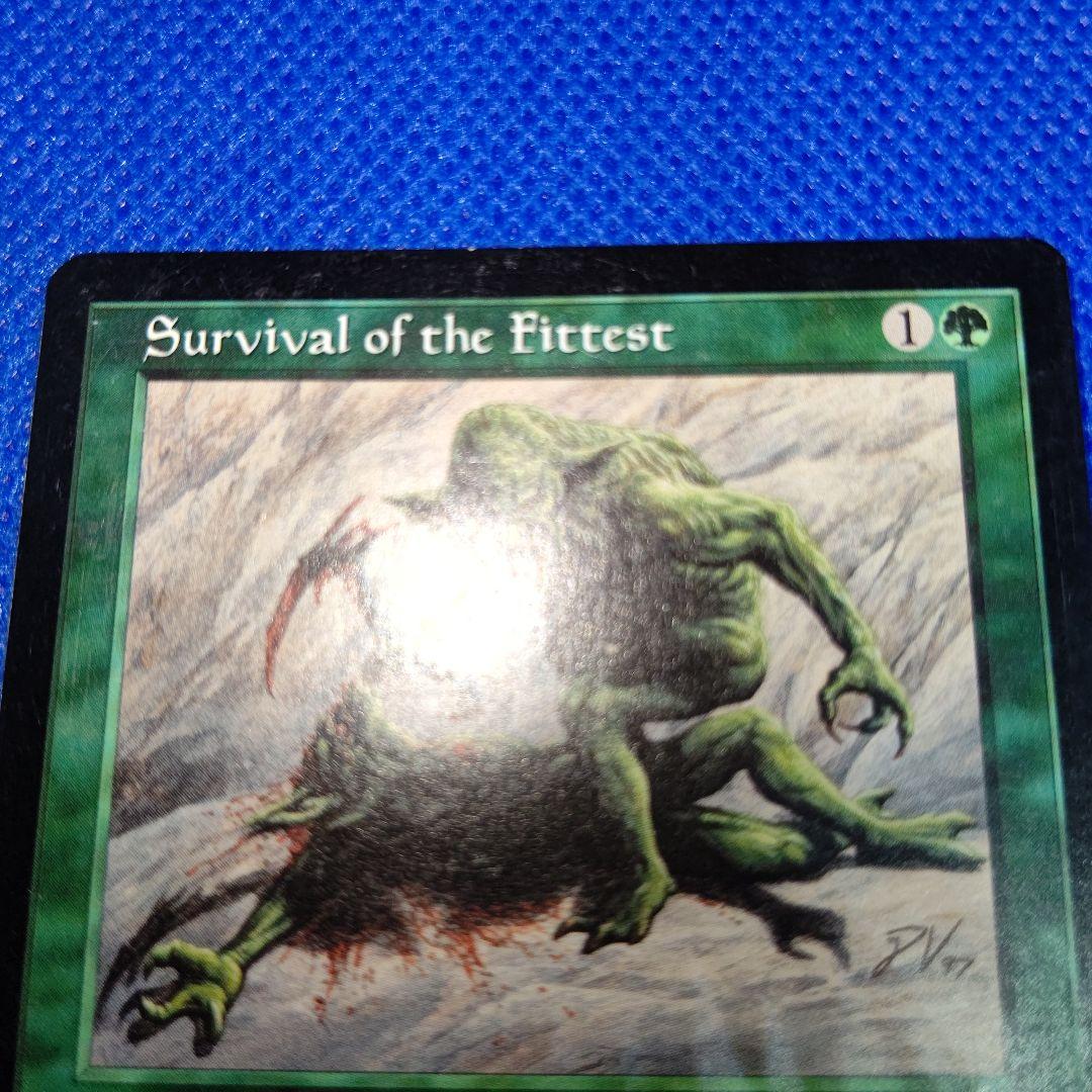MTG 適者生存 英語版 - rehda.com MTG 適者生存 英語版 - rehda.com