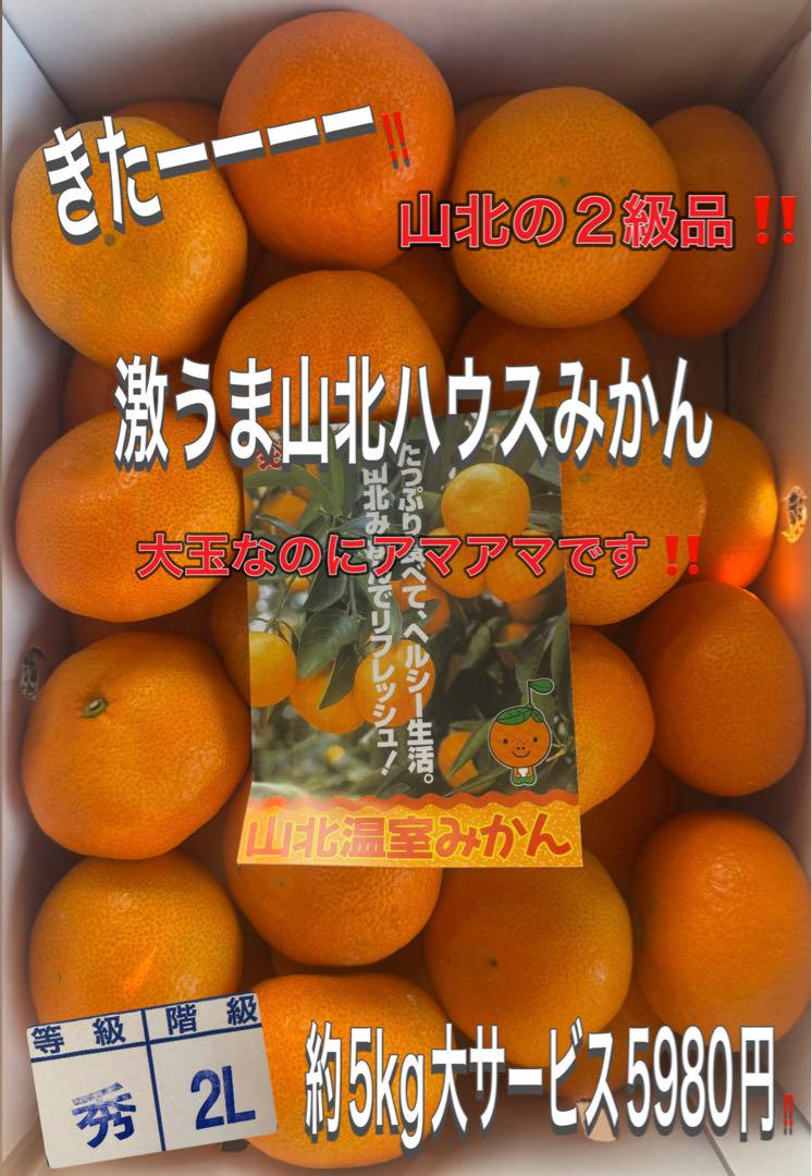 きたーーー‼️本日少し入荷しました‼️激うま山北ハウスみかん約5kg5980円‼️4