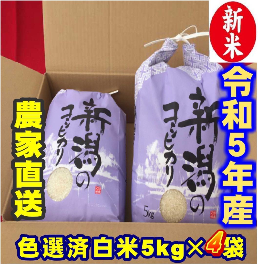 新米・令和5年産新潟コシヒカリ　白米5kg×4個★農家直送★色彩選別済125キロ