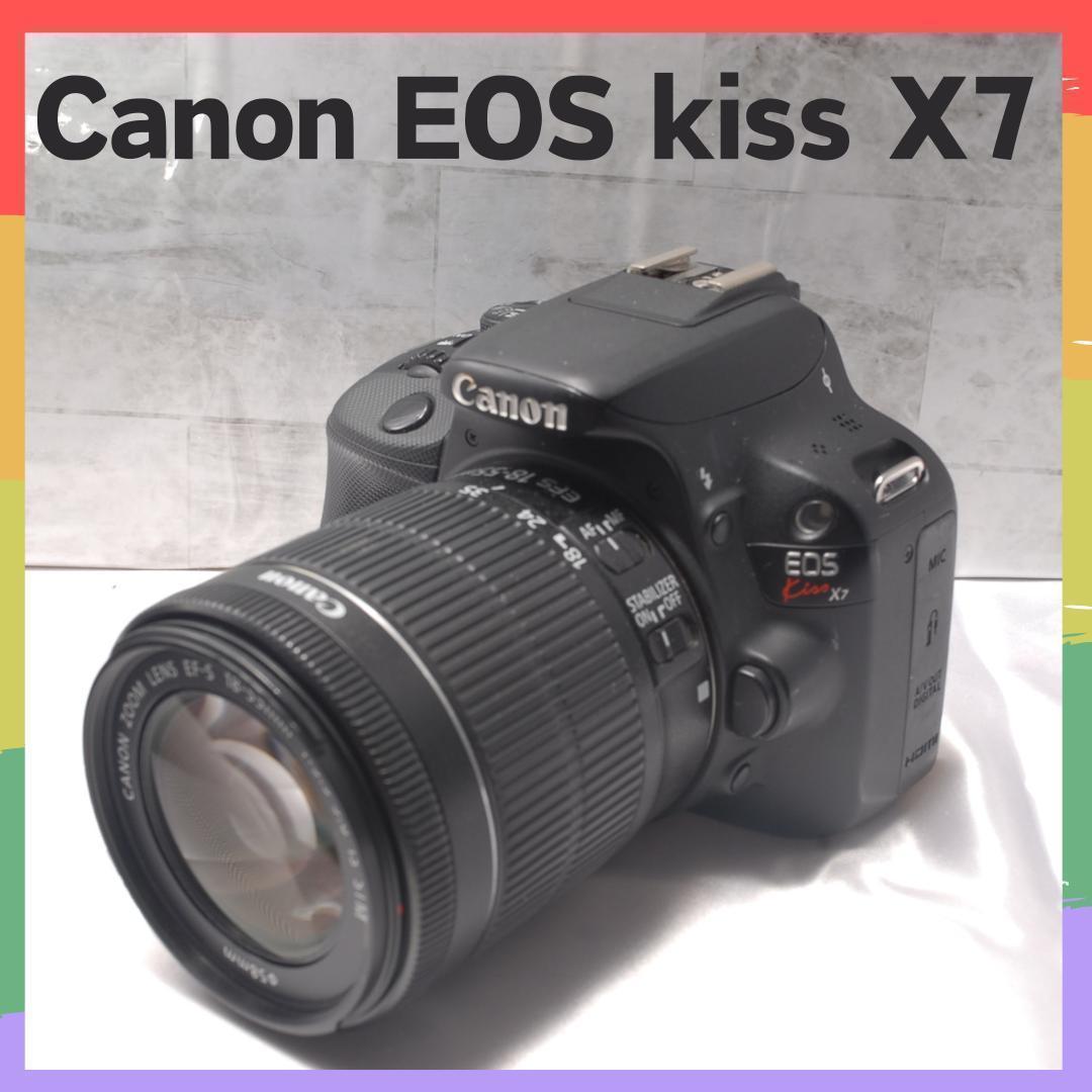キヤノン EOS Kiss X7猫撮影レビュー【今でも最小・最軽量クラス
