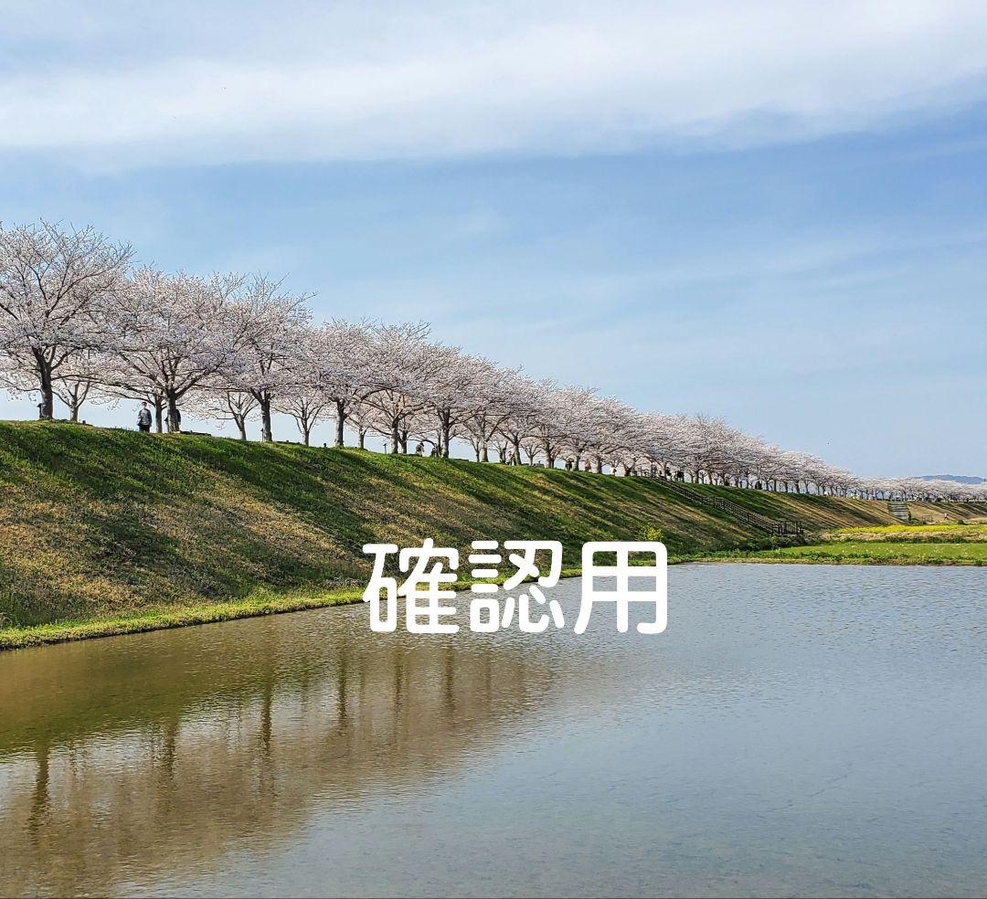 靴下 確認用