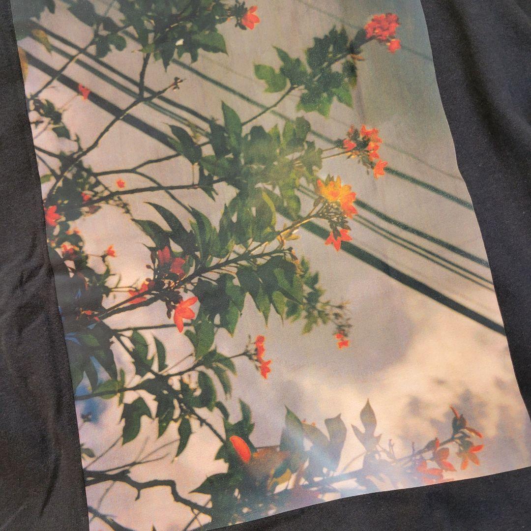 Tシャツ