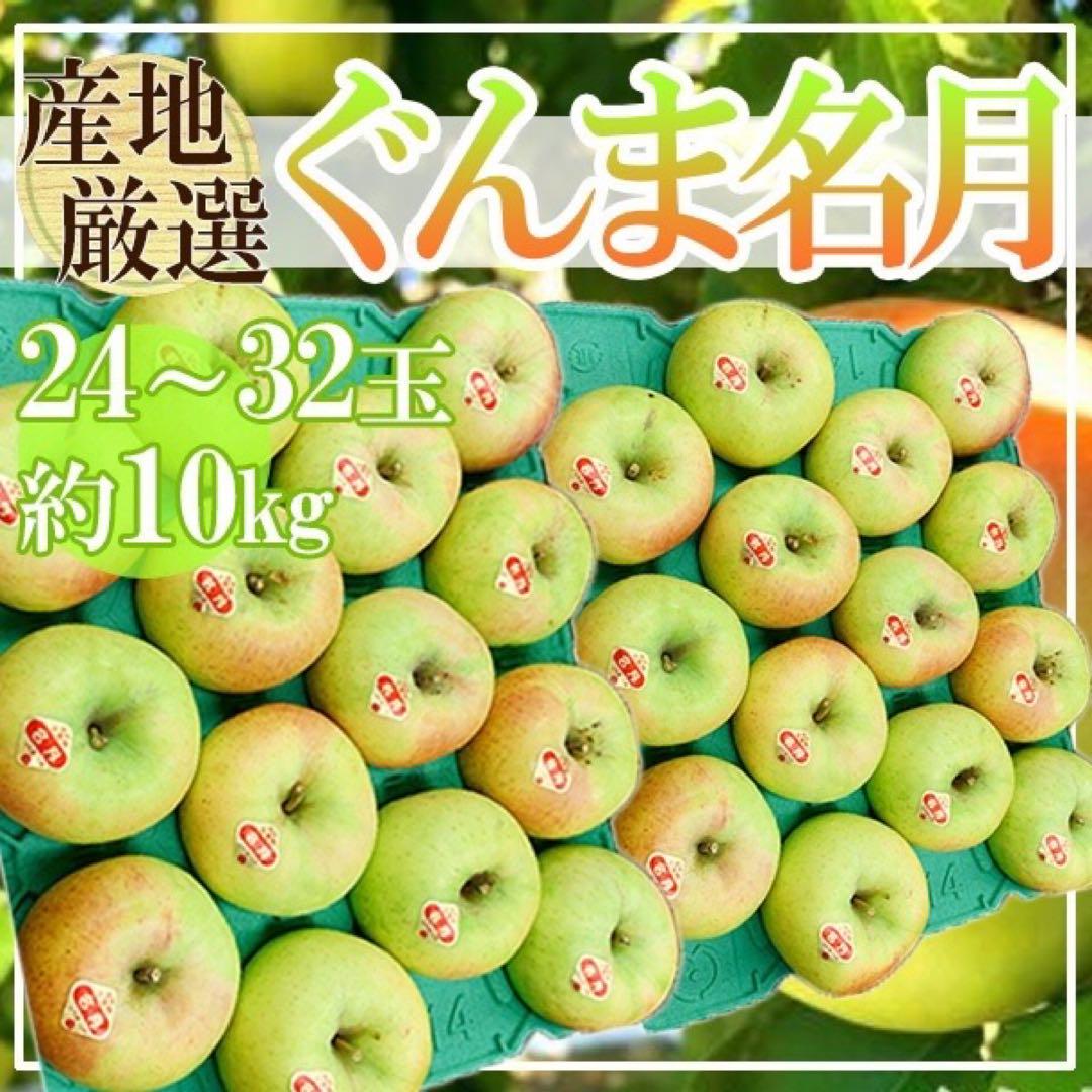 産地厳選　ぐんま名月　24〜32玉　約10kg