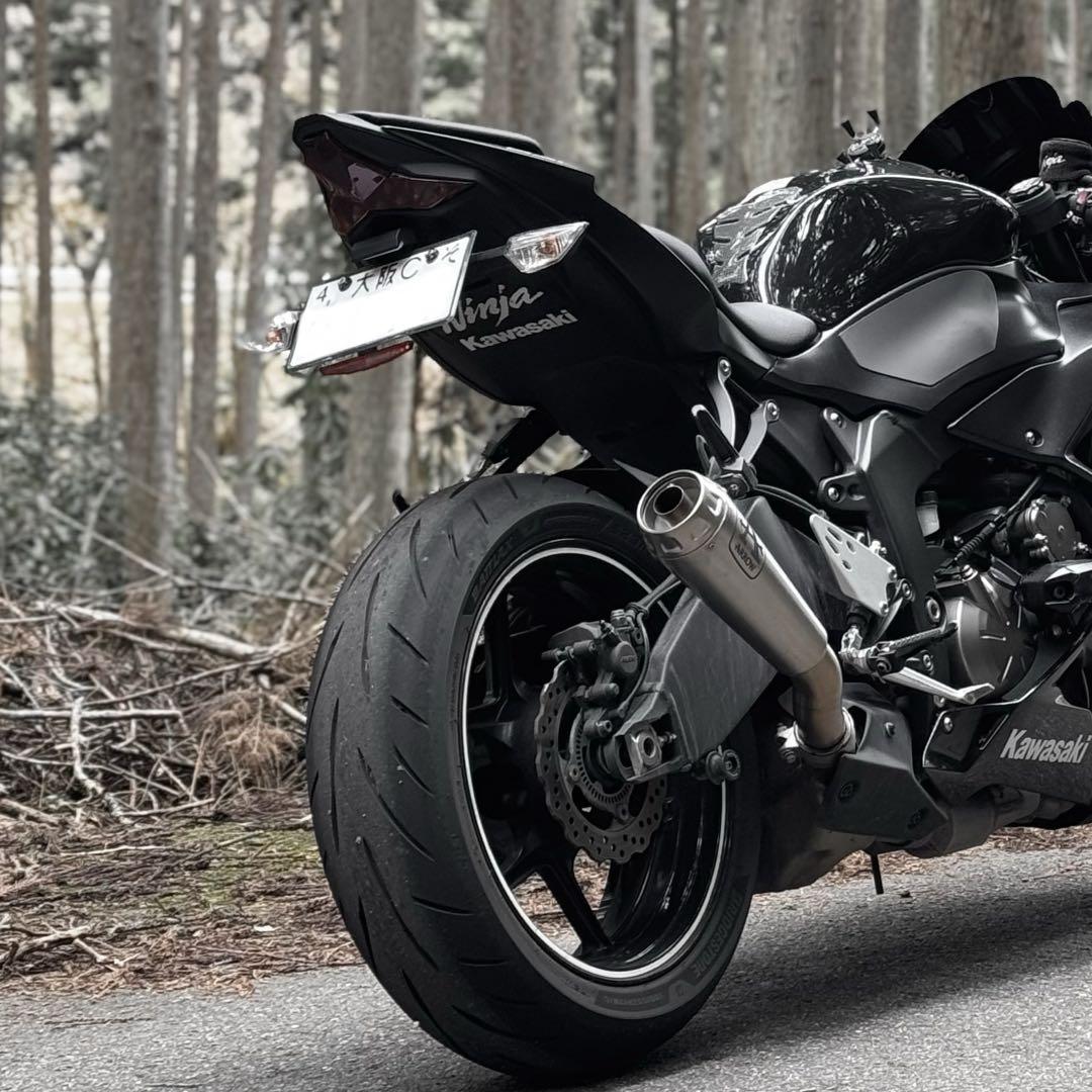 zx6r フェンダーレスキット