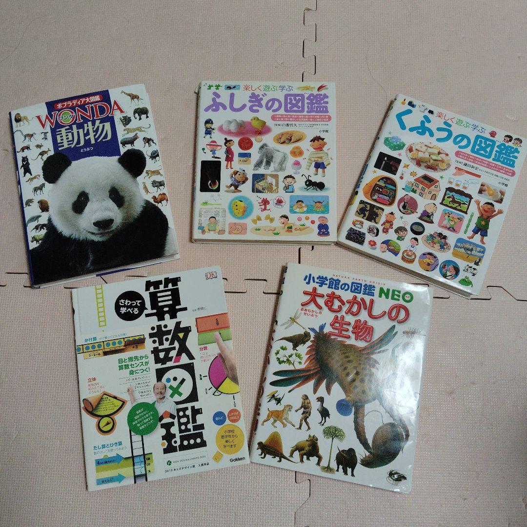 人気絵本・図鑑　27冊まとめ売り 児童書 27冊 まとめ売り - 絵本・児童書販売 中