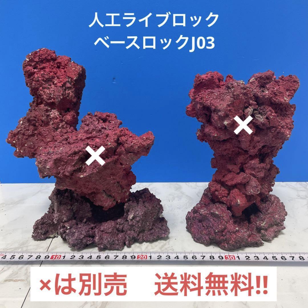 人工ライブロック大袋①