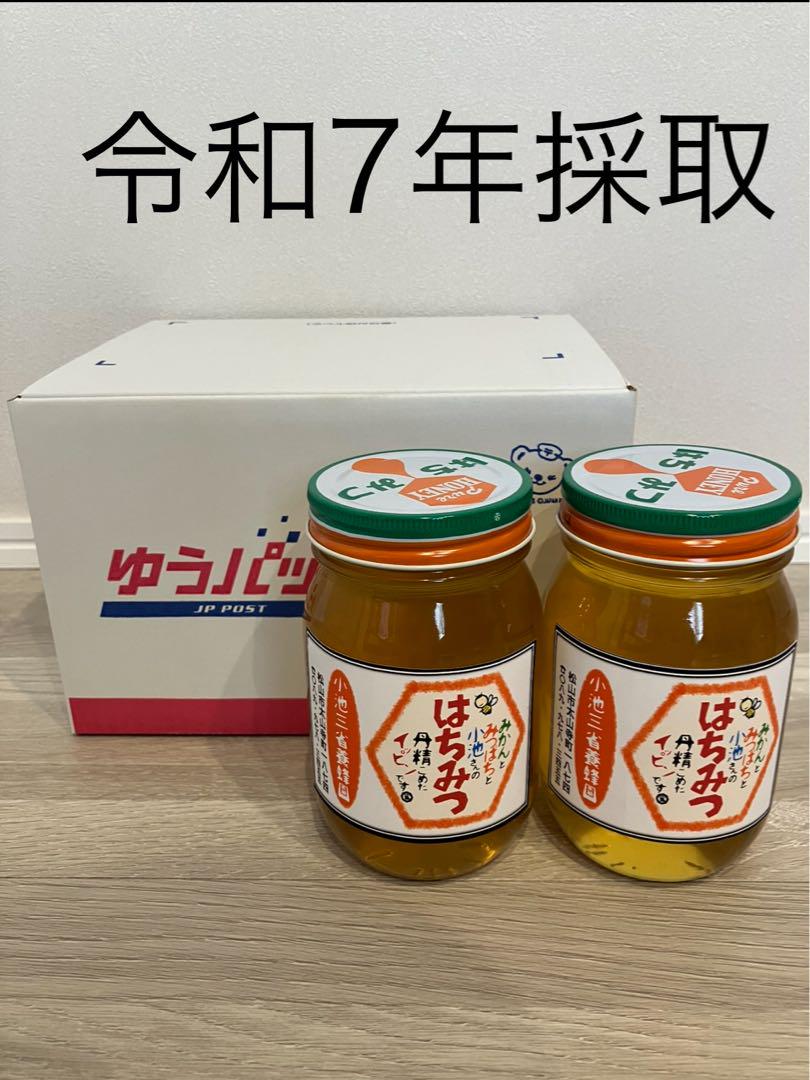 わんこ様用 はちみつ みかん蜜600ｇ 4本