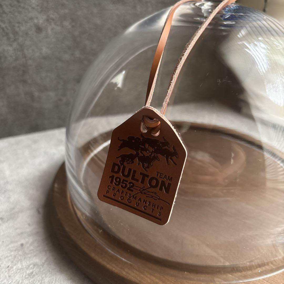 売約済み★DULTON ダルトン ガラスドーム ミロワール M