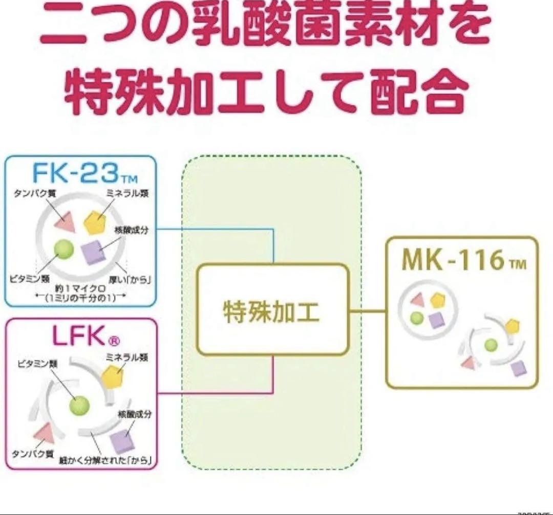 プロテサンエブリィⅡ