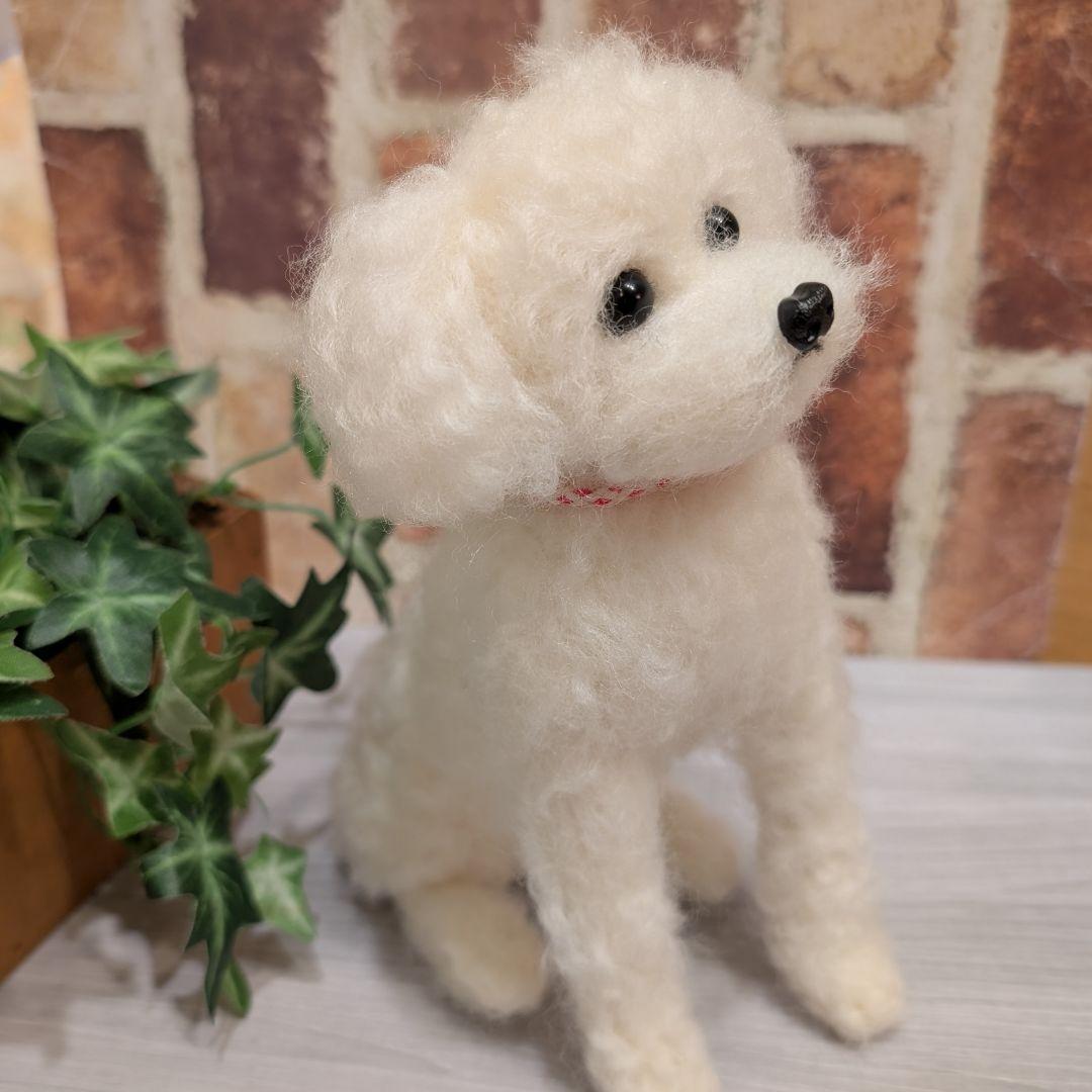 トイプードル♡大きいサイズ