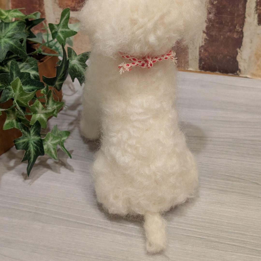 トイプードル♡大きいサイズ