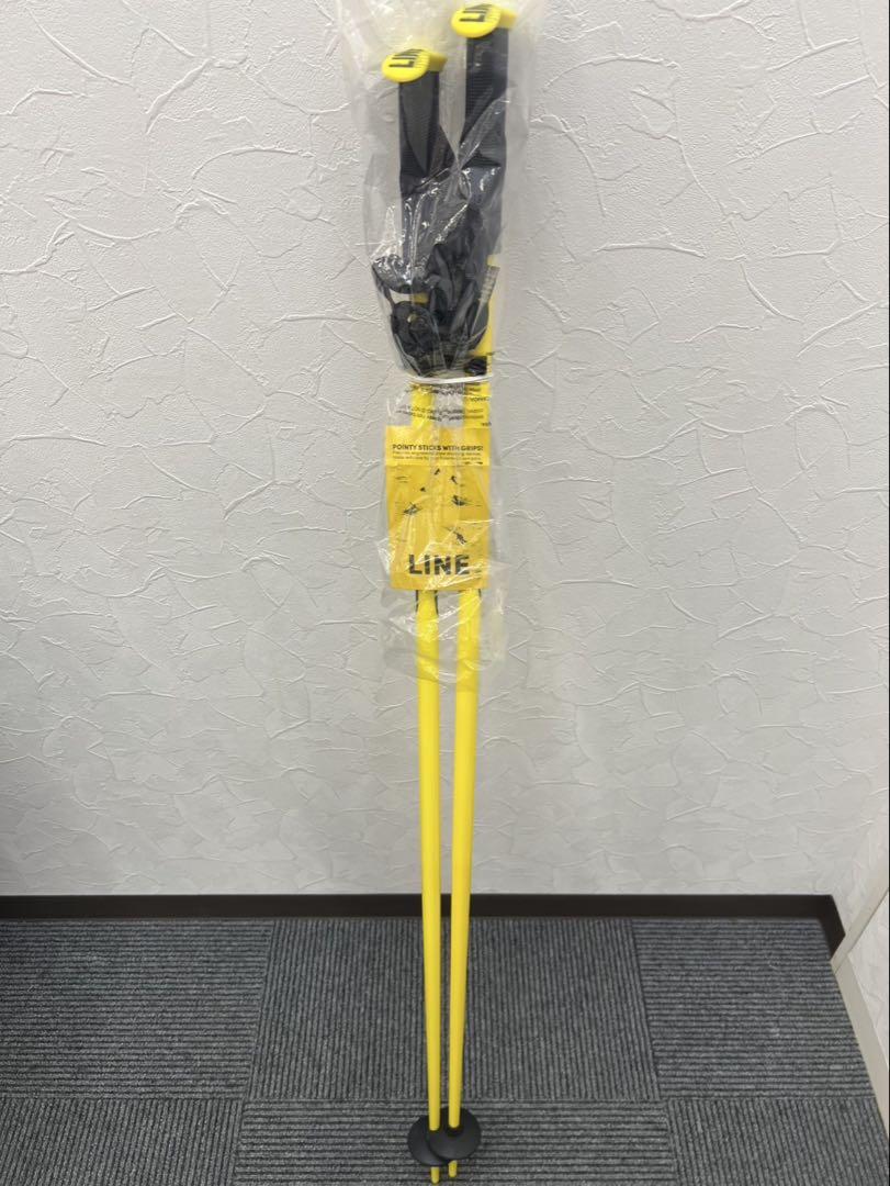 ATOMIC アトミック スキー板 とラインSKIS POLES スキーポール