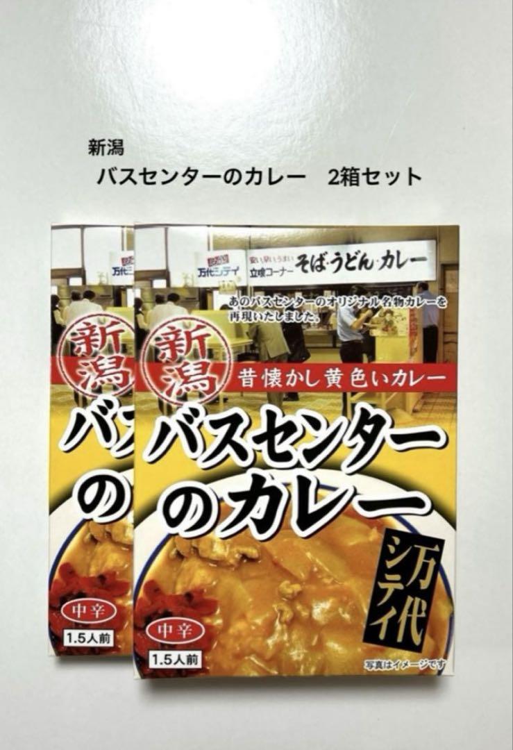 【てんご予約商品！】新潟 バスセンターのカレー 10箱セット 特売 ＠890円 新潟バスセンターのカレー② 10箱