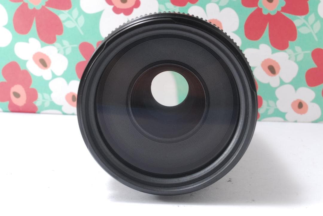 ❤キャノン Canon EF 75-300mm USM ❤超望遠❤