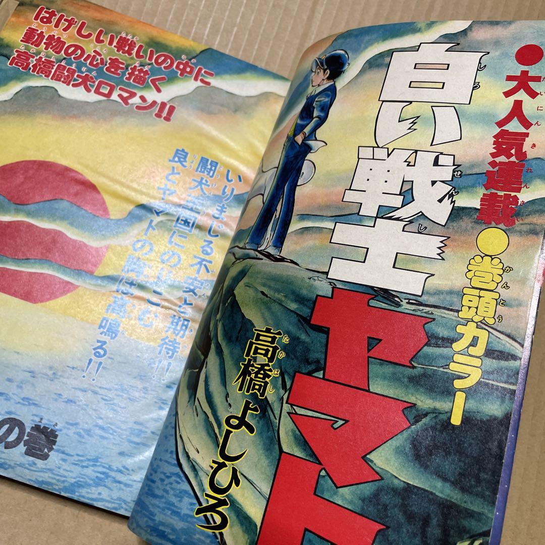 月刊少年ジャンプ 1979年4月号※手塚治虫・るんは風の中、永井豪