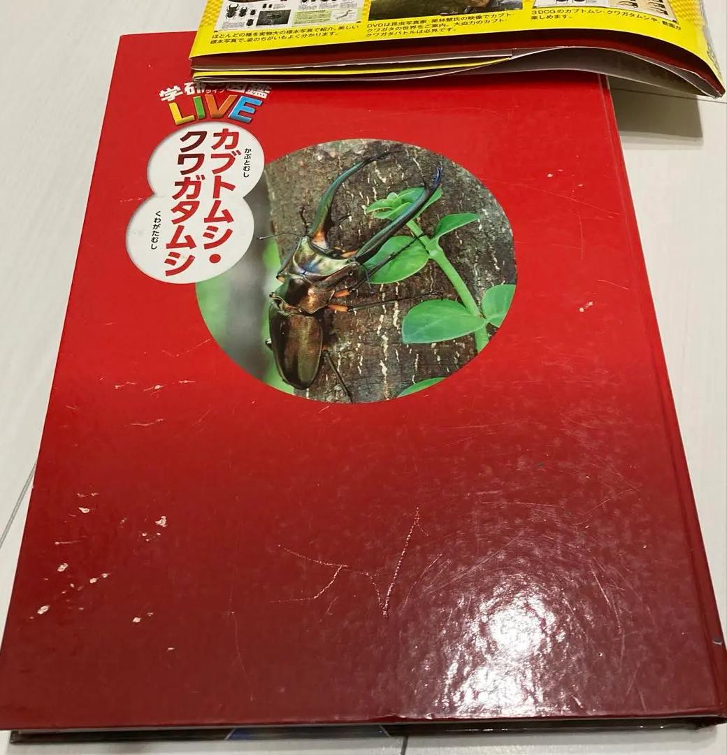 GJ OK 学研の図鑑 カブトムシ・クワガタムシ LN HM