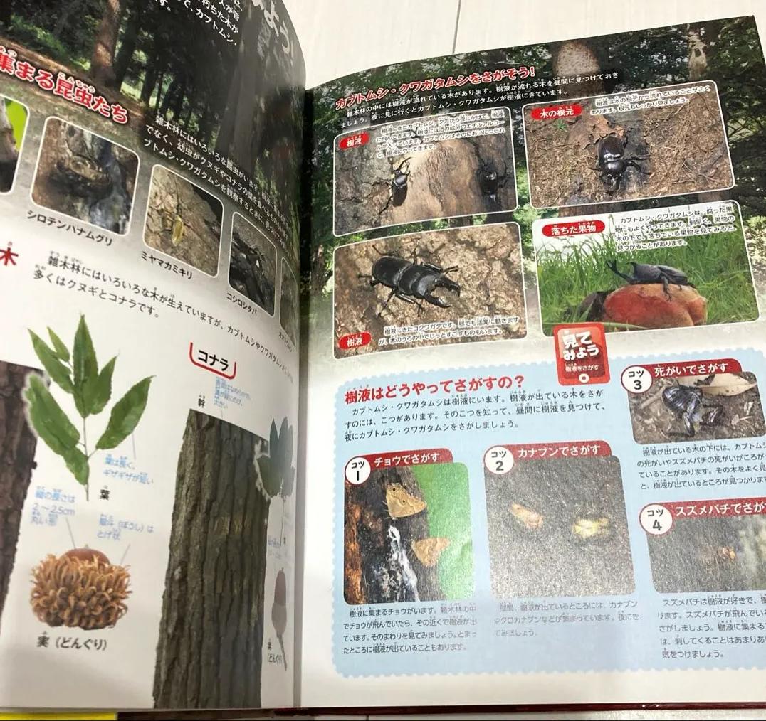 GJ OK 学研の図鑑 カブトムシ・クワガタムシ LN HM