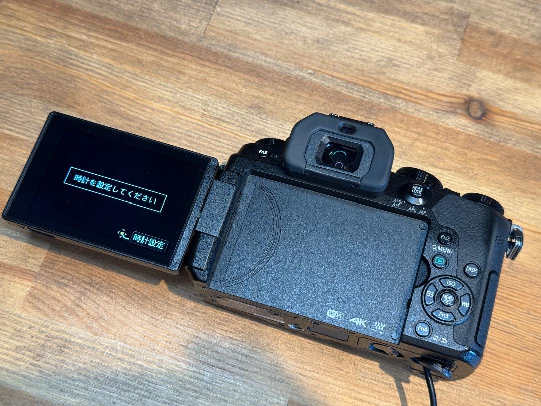 【美品】Pana LUMIX DMC-G8 本体＋SD64GB/バッテリー付