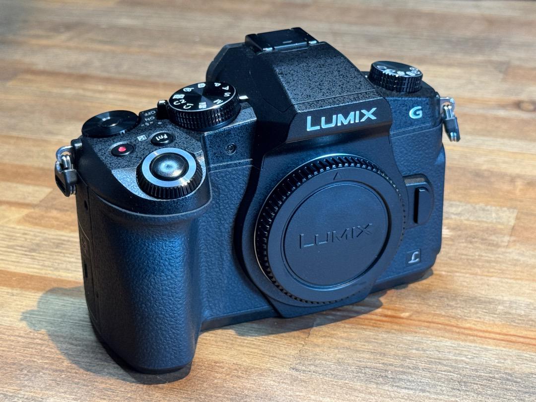 【美品】Pana LUMIX DMC-G8 本体＋SD64GB/バッテリー付