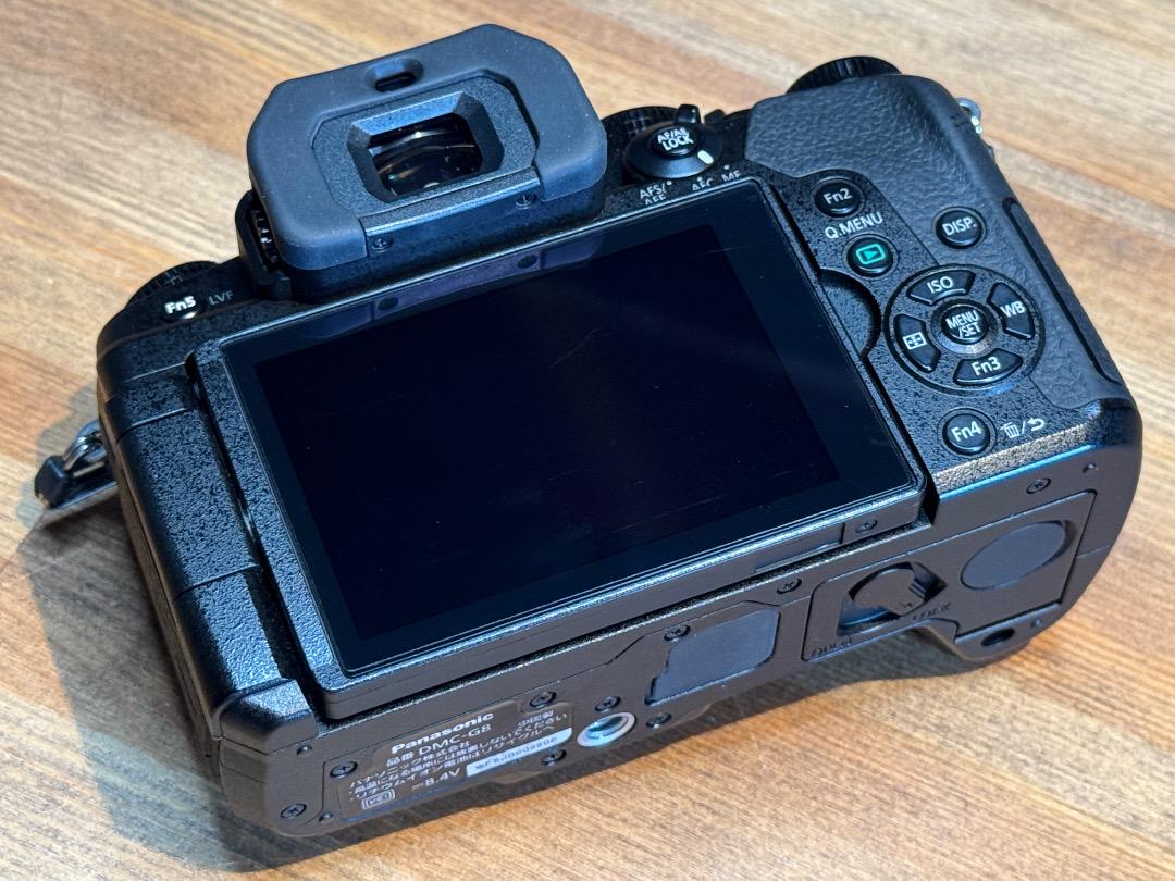 【美品】Pana LUMIX DMC-G8 本体＋SD64GB/バッテリー付