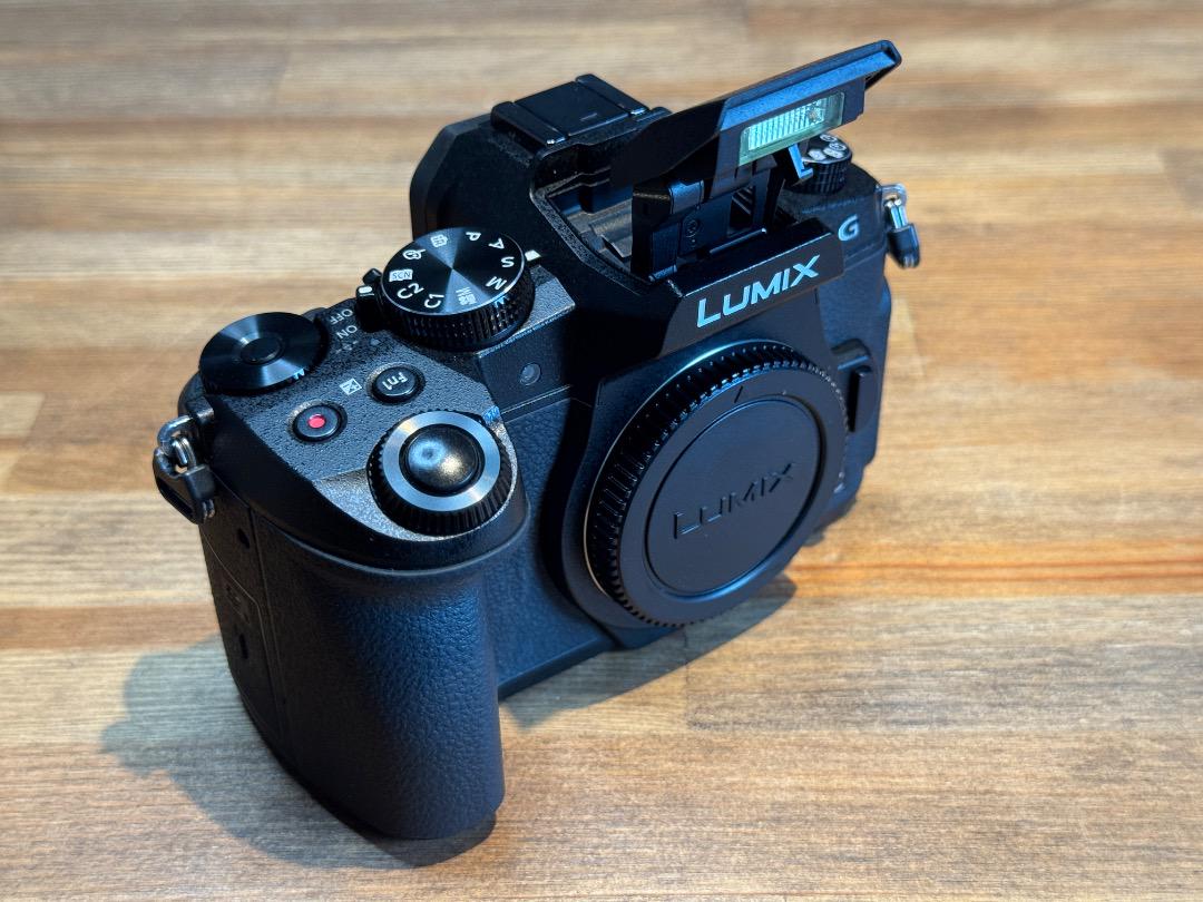 【美品】Pana LUMIX DMC-G8 本体＋SD64GB/バッテリー付
