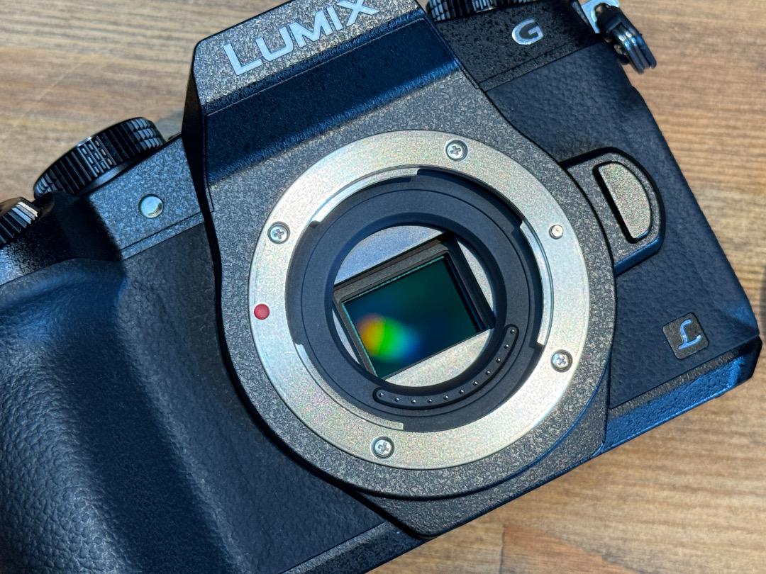 【美品】Pana LUMIX DMC-G8 本体＋SD64GB/バッテリー付