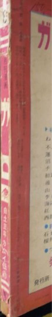 直野祥子集☆ブロンズ社 直野祥子集☆ブロンズ社 直野祥子集☆ブロンズ社