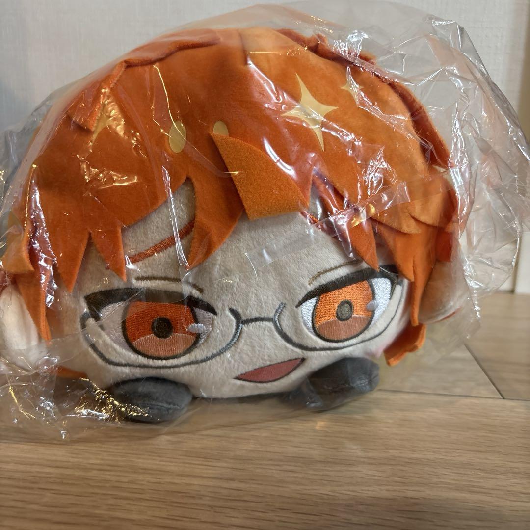 十王院カケル もちころクッション
